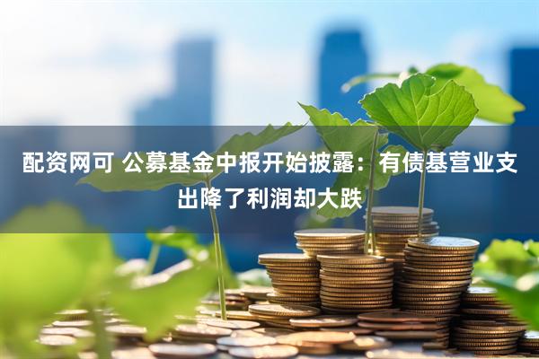配资网可 公募基金中报开始披露：有债基营业支出降了利润却大跌