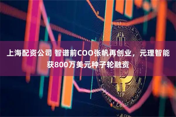 上海配资公司 智谱前COO张帆再创业，元理智能获800万美元种子轮融资