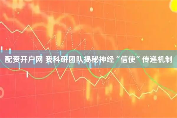 配资开户网 我科研团队揭秘神经“信使”传递机制