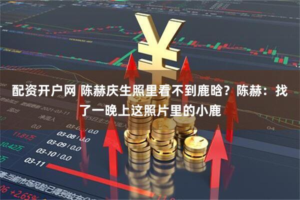 配资开户网 陈赫庆生照里看不到鹿晗？陈赫：找了一晚上这照片里的小鹿