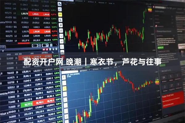 配资开户网 晚潮｜寒衣节，芦花与往事