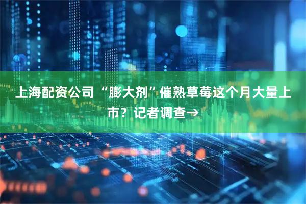 上海配资公司 “膨大剂”催熟草莓这个月大量上市？记者调查→